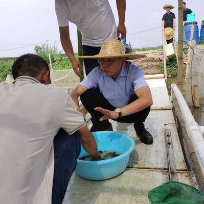 九江市農(nóng)業(yè)科學(xué)院赴廣東考察學(xué)習(xí)飼料鱖魚養(yǎng)殖及工廠化循環(huán)水養(yǎng)殖技術(shù)